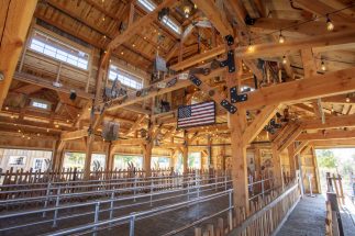 interior-post-and-beam-commercial-building