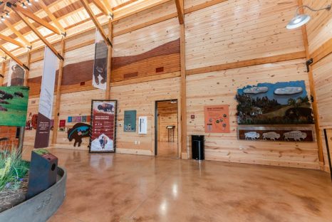Wood-visitor-center-custer-state-park