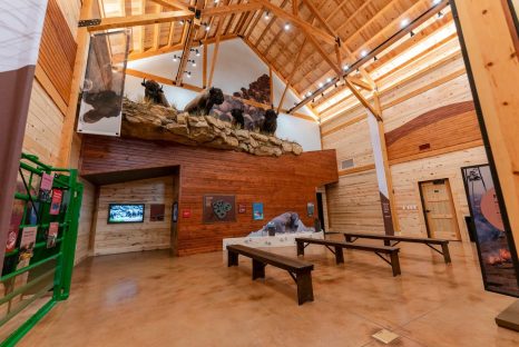 lodge-post-and-beam-visitor-center