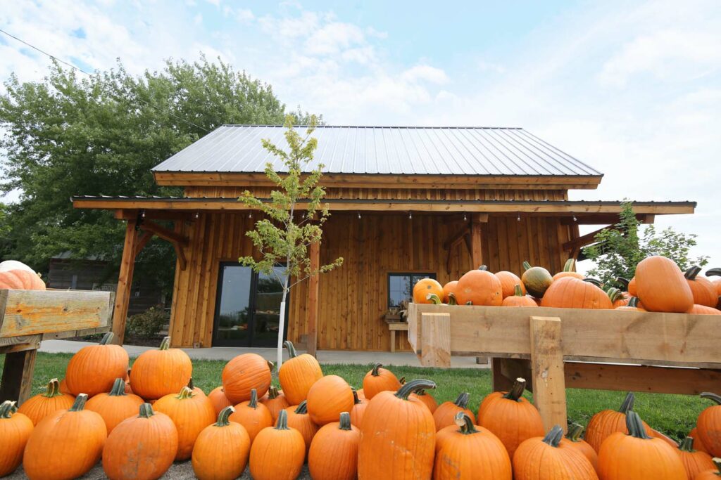harvest-moon-pumpkin-patch-legacy-post-and-beam-kit