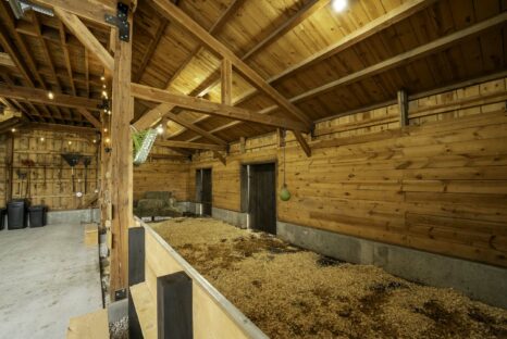 stalls-wood-horse-barn