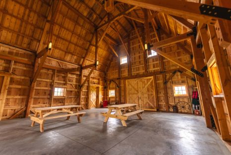 premium-horse-barn