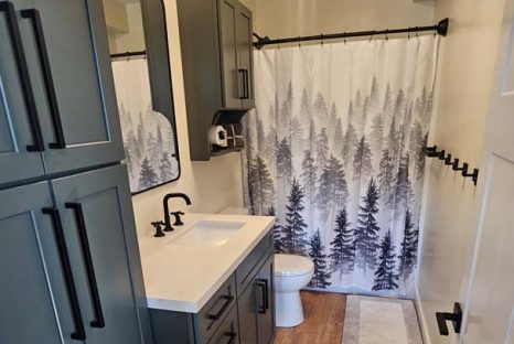 wood-cabin-bathroom